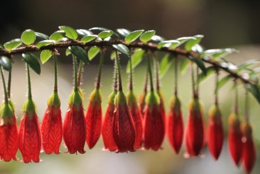 惠州博罗1私人快速借钱网，轻松解决资金难题